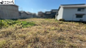 たつの市御津町苅屋、土地の外観画像です