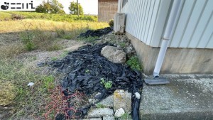 たつの市御津町苅屋、土地のその他画像です