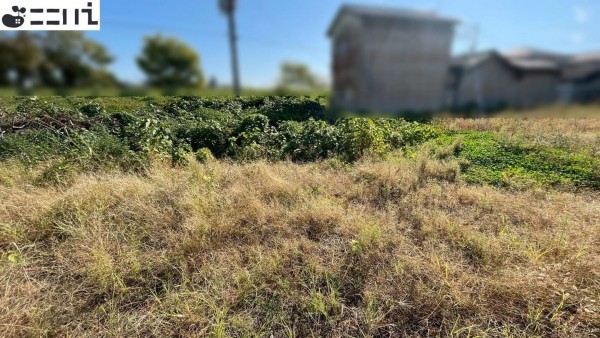 たつの市御津町苅屋、土地の外観画像です