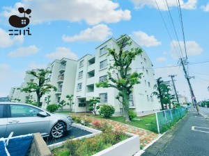 姫路市飾磨区恵美酒、マンションの画像です