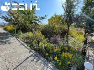 姫路市花田町、土地の画像です