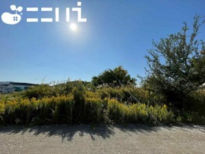 姫路市花田町、土地の画像です