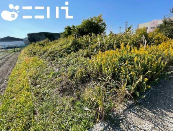 姫路市花田町、土地の画像です