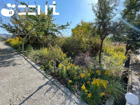 姫路市花田町、土地の画像です