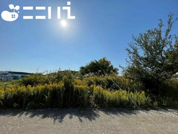 姫路市花田町、土地の画像です