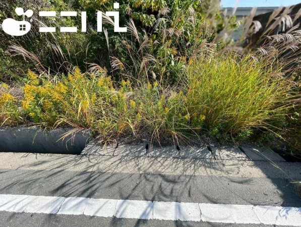 姫路市花田町、土地の画像です