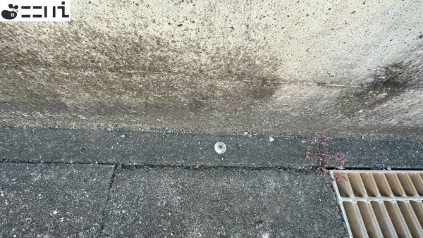 相生市緑ケ丘、中古一戸建てのその他画像です