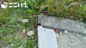 姫路市花田町、土地の画像です