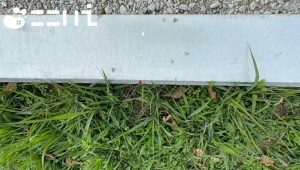 姫路市花田町、土地の画像です