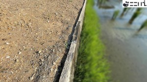 たつの市揖保川町片島、土地の外観画像です