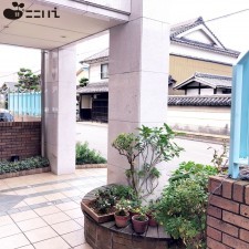 姫路市安田、マンションの画像です