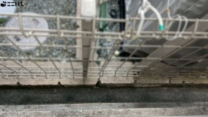 たつの市龍野町宮脇、中古一戸建てのその他画像です