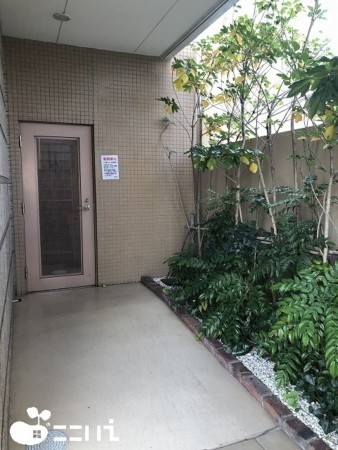 姫路市東延末、マンションの画像です