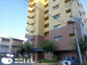 姫路市三左衛門堀西の町、マンションの外観画像です