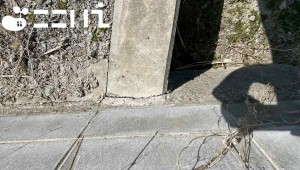 姫路市広畑区西蒲田、土地の画像です