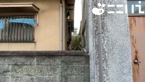 姫路市広畑区則直、土地の画像です