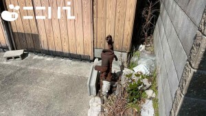 姫路市広畑区才、土地の画像です