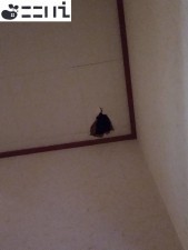 たつの市龍野町島田、中古一戸建てのその他画像です