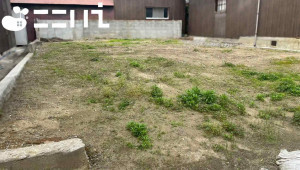 姫路市網干区新在家、土地の画像です