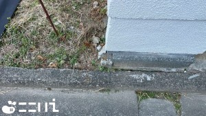 姫路市網干区大江島、土地のその他画像です