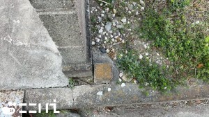 姫路市網干区大江島、土地のその他画像です