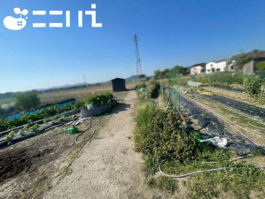 姫路市網干区大江島、土地の画像です