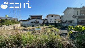 姫路市網干区興浜、土地の画像です