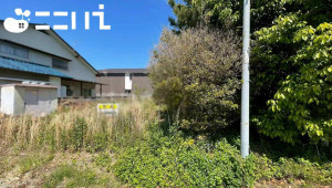 姫路市網干区新在家、土地の画像です