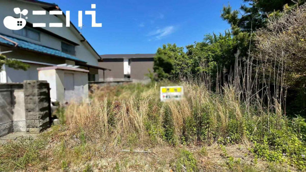 姫路市網干区新在家、土地の画像です
