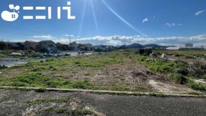 姫路市網干区津市場、土地の画像です