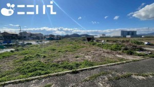 姫路市網干区津市場、土地の画像です