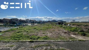 姫路市網干区津市場、土地の画像です