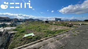 姫路市網干区津市場、土地の画像です