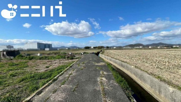 姫路市網干区津市場、土地の画像です