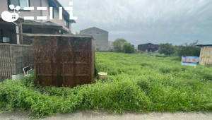 姫路市網干区興浜、土地の画像です