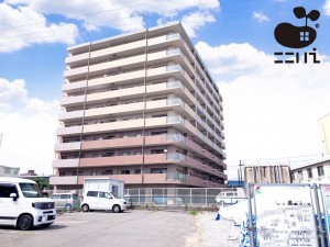 姫路市東今宿、マンションの外観画像です