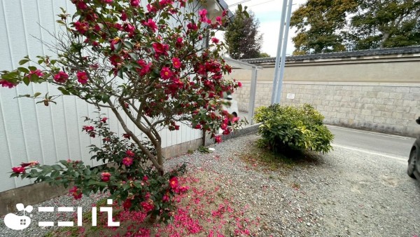 姫路市網干区興浜、土地の外観画像です