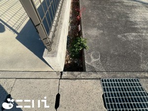 姫路市西庄、土地のその他画像です