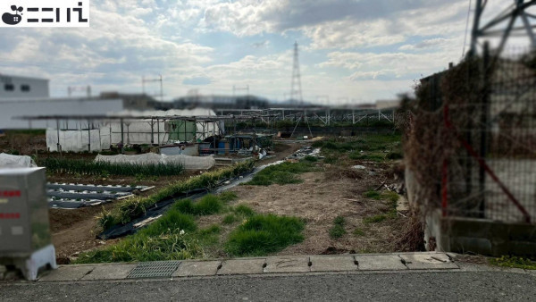 揖保郡太子町下阿曽、土地の外観画像です