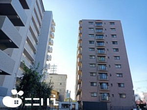 姫路市飾磨区野田町、マンションの外観画像です