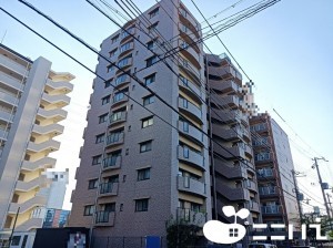 姫路市飾磨区野田町、マンションの外観画像です