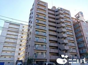 姫路市飾磨区野田町、マンションの外観画像です