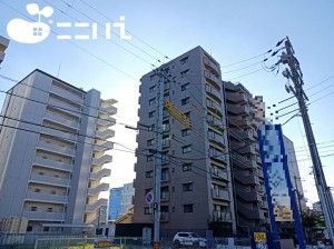 姫路市飾磨区野田町、マンションの外観画像です