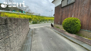 姫路市飾磨区阿成、中古一戸建てのその他画像です