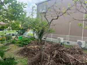 相生市双葉、土地の外観画像です