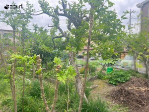 相生市双葉、土地の外観画像です