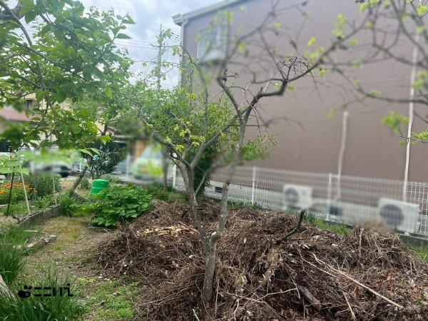 相生市双葉、土地の外観画像です