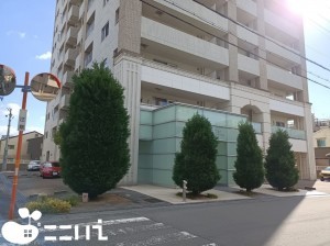 姫路市元町、マンションの画像です