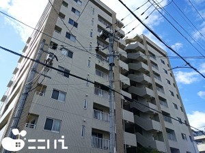 姫路市元町、マンションの画像です