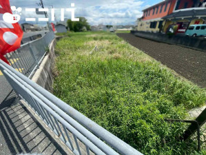 姫路市網干区浜田、土地の画像です